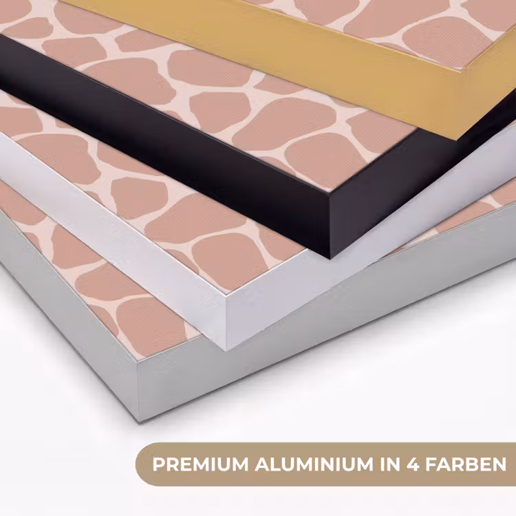 Giraffe - Lichtroze - Warm - Roze Textielframe zwart klein 947 -USP_kleurenDE