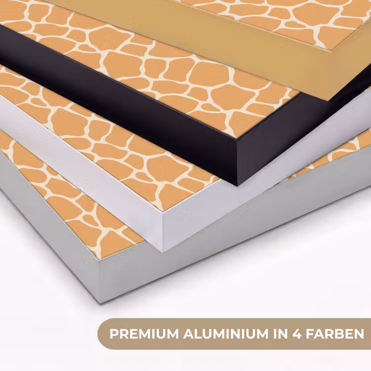 Giraf - Oranje - Patroon Textielframe zwart klein 947 -USP_kleurenDE