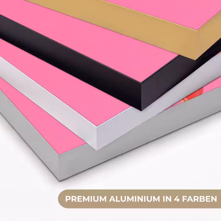 Giraf - Roze - Bril - Sjaal Textielframe zwart klein -USP_kleurenDE