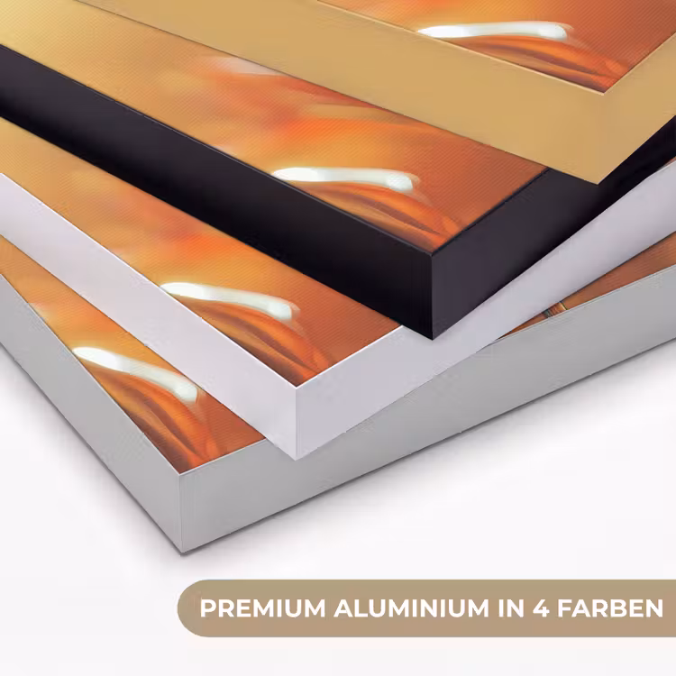 Glazen - Bloem - Zonlicht Textielframe zwart klein -USP_kleurenDE