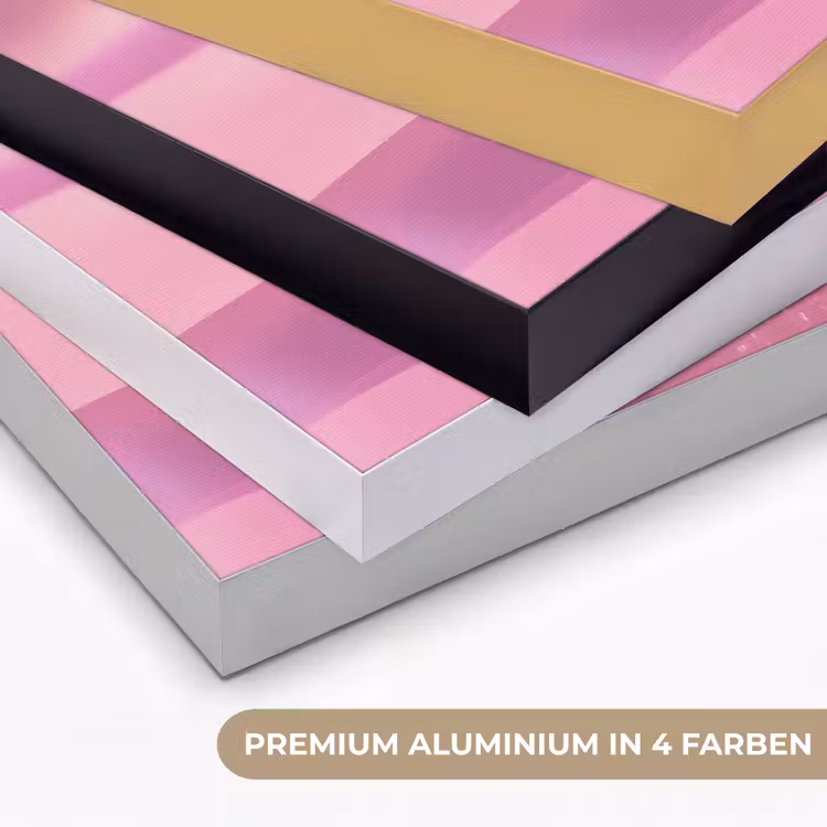 Glitter - Discobol - Roze - Kersen Textielframe zwart klein -USP_kleurenDE