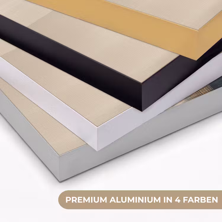 Goud - Vrouw - Rechthoeken Textielframe zwart klein -USP_kleurenDE