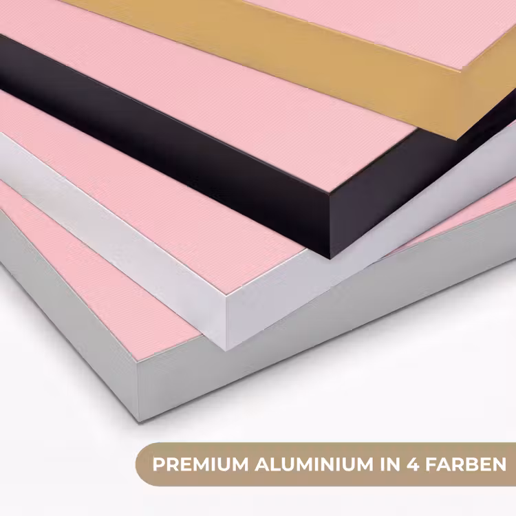 Golfballen - Roze - Drie Textielframe zwart klein -USP_kleurenDE