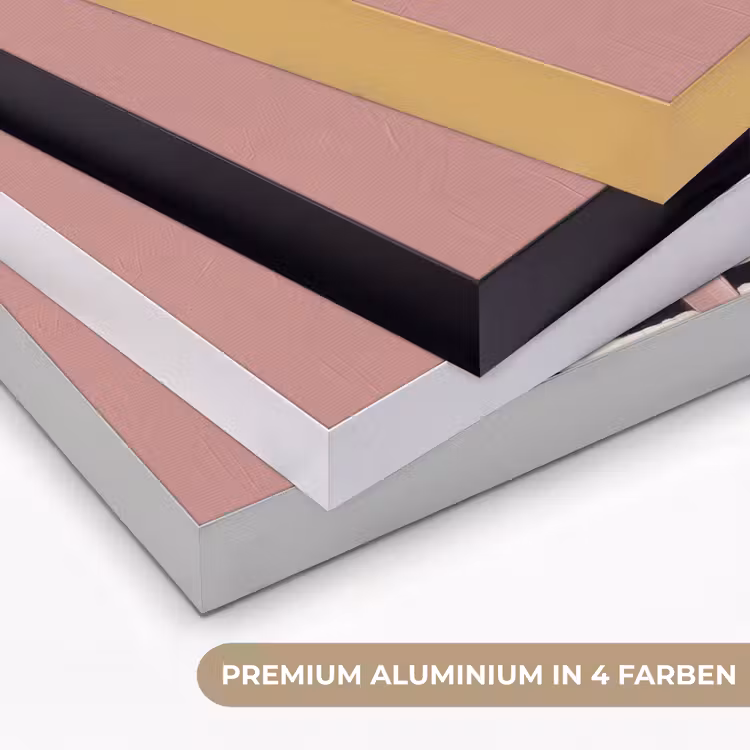 Grafisch - Vrouw - Roze Textielframe zwart klein -USP_kleurenDE