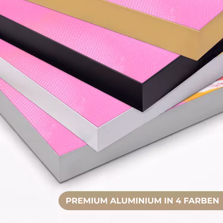 Grapefruit - Geschilderd - Roze - Strepen Textielframe zwart klein -USP_kleurenDE
