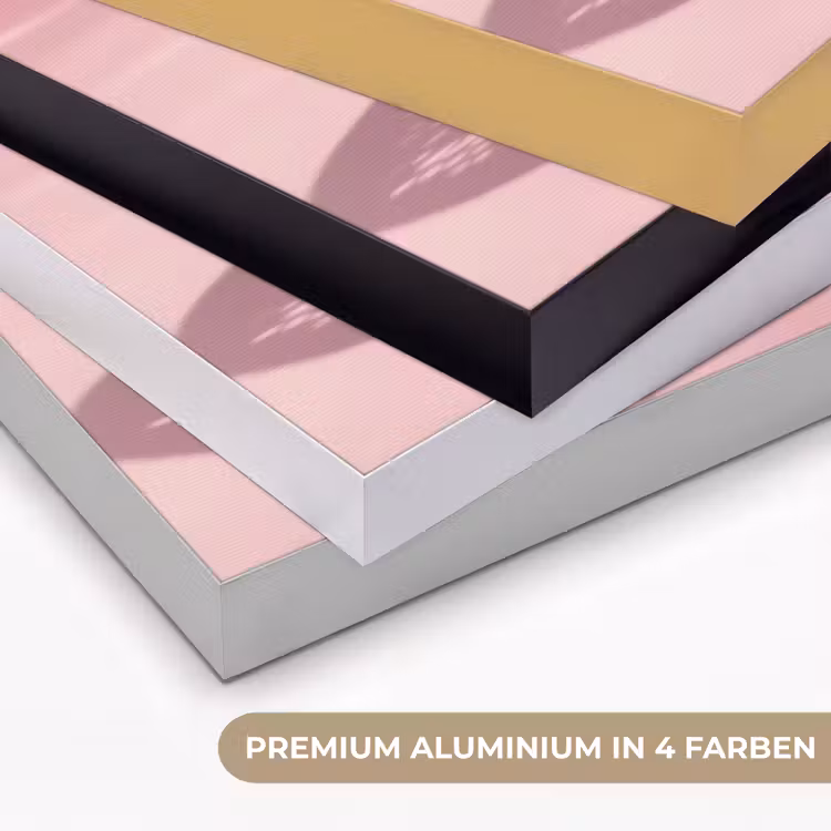Grapefruit - Roze - Disco - Shiny Textielframe zwart klein -USP_kleurenDE