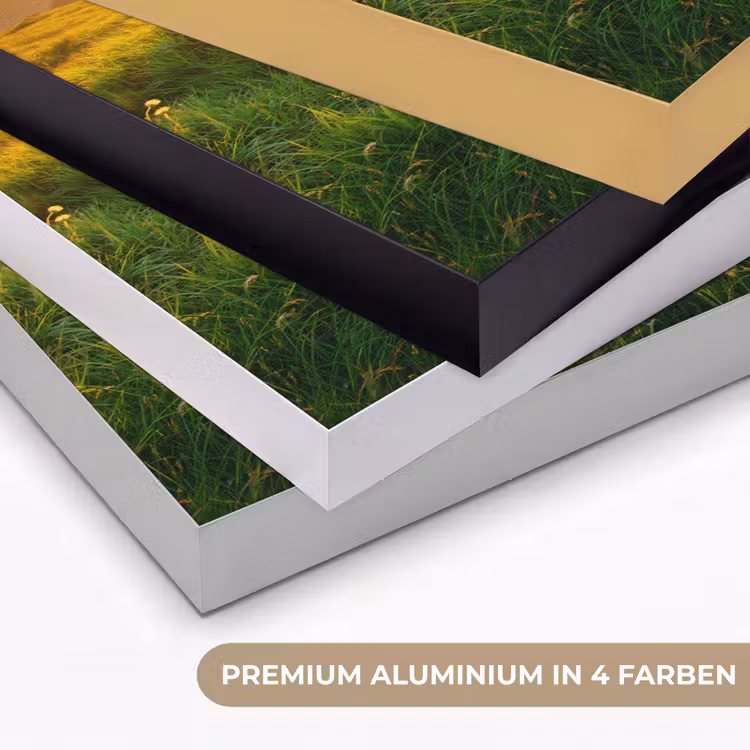 Gras - Heuvels - Zon - Natuur - Landschap Textielframe zwart klein -USP_kleurenDE