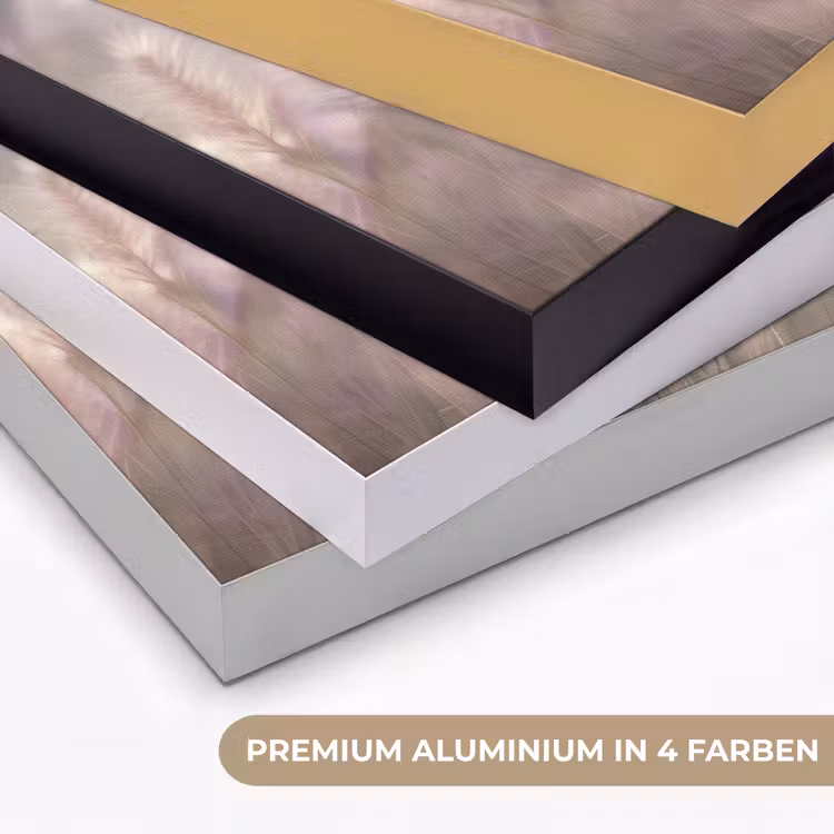 Graspluimen - Wind - Beige - Mistig Textielframe zwart klein -USP_kleurenDE