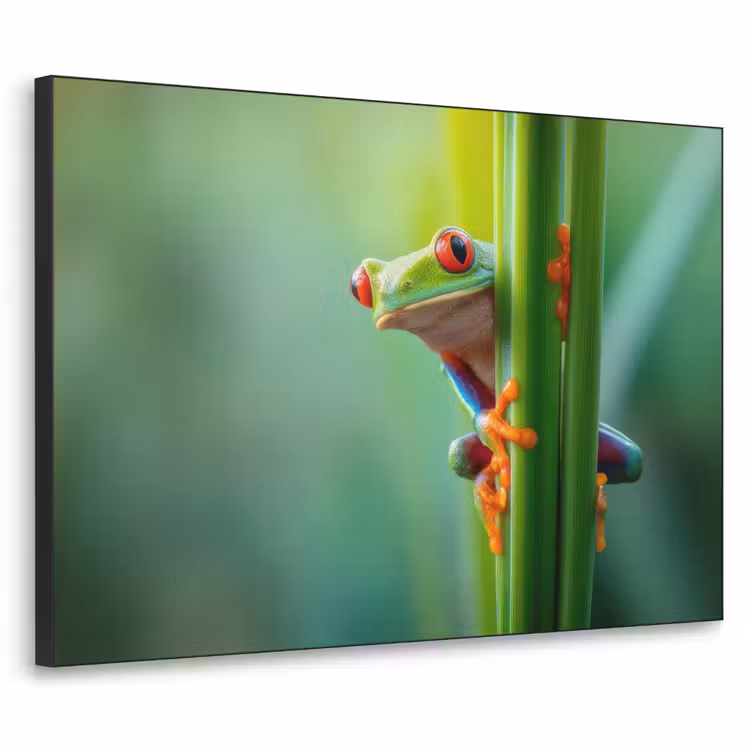Groene kikker - Nieuwsgierig - Gras Textielframe zwart klein -3d