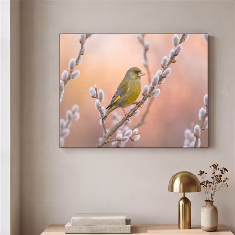 Groenling - Katjes - Lente - Natuur - Zacht Textielframe zwart klein -sfeer2