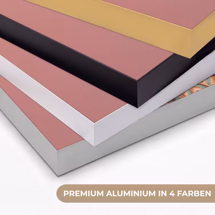 Sjaal - Aap - Zonnebril - Jasje Textielframe zwart klein -USP_kleurenDE