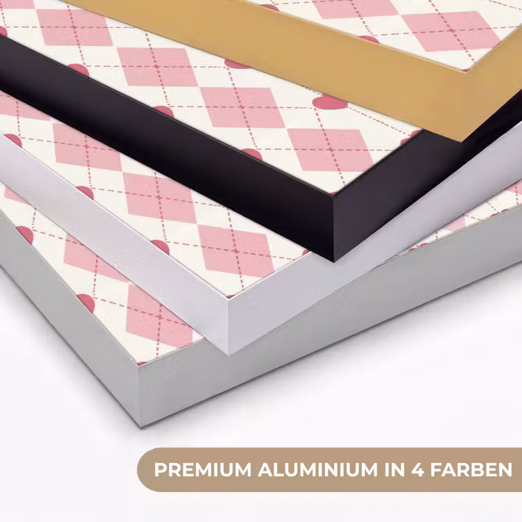 Ruiten - Klassiek - Roze - Wit Textielframe zwart klein 947 -USP_kleurenDE