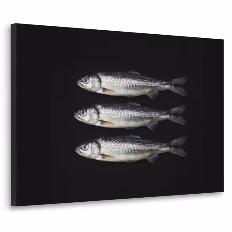 Haring - Vissen - Zwart Textielframe - compleet frame klein -3d