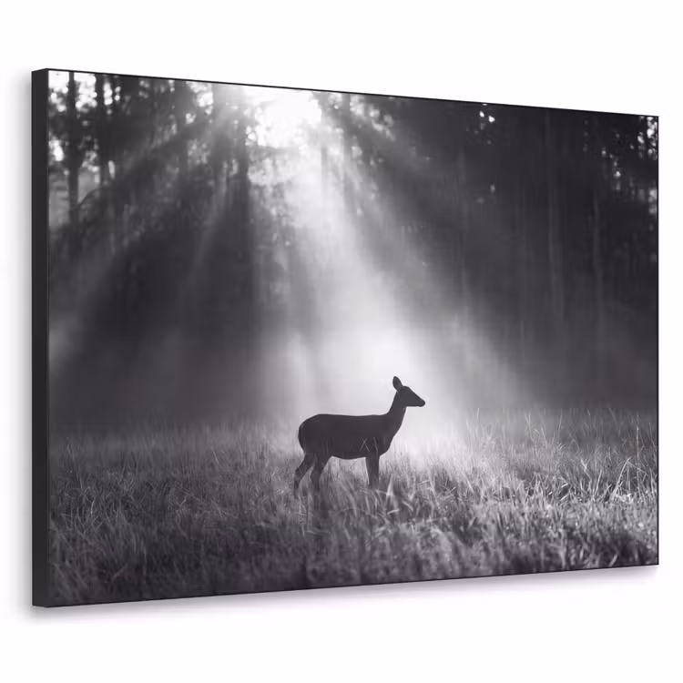 Hert - Bos - Zonnestralen - Zwart-wit - Natuur Textielframe zwart klein -3d
