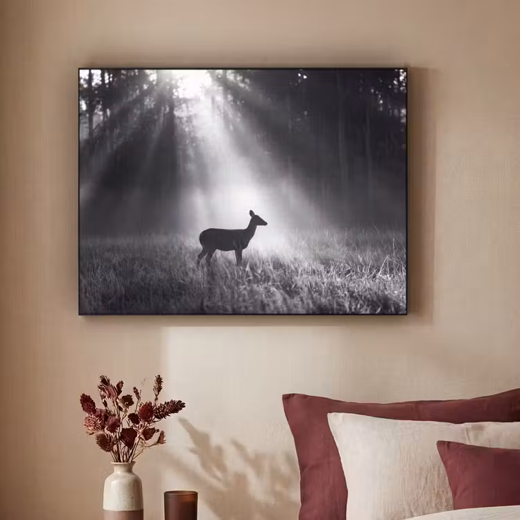 Hert - Bos - Zonnestralen - Zwart-wit - Natuur Textielframe zwart klein -sfeer1