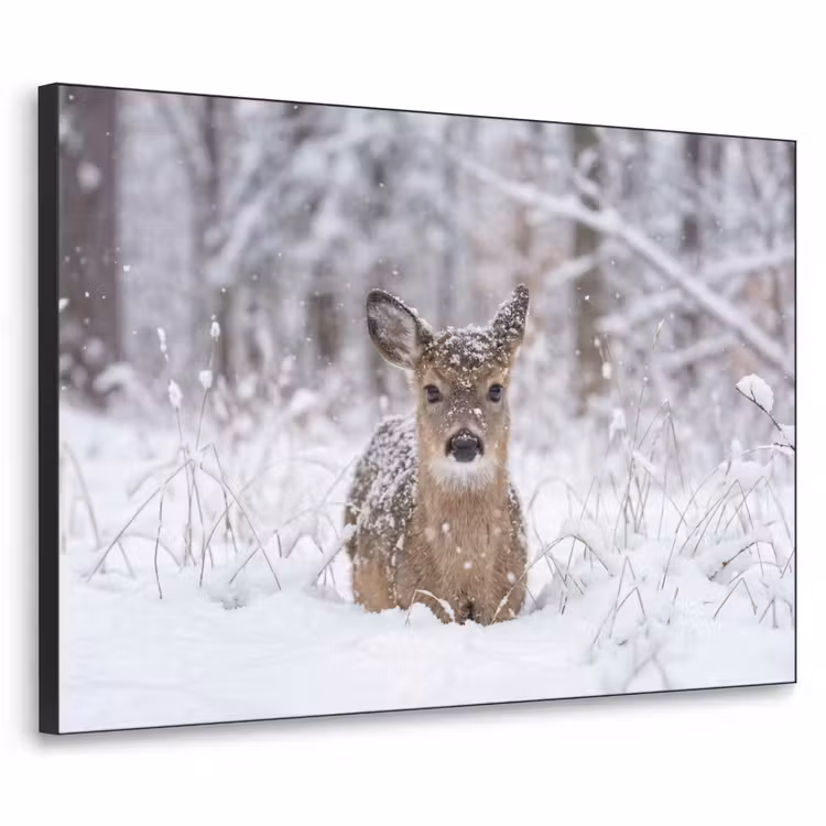 Hert - Sneeuw - Bos - Dieren - Vertederend Textielframe zwart klein -3d