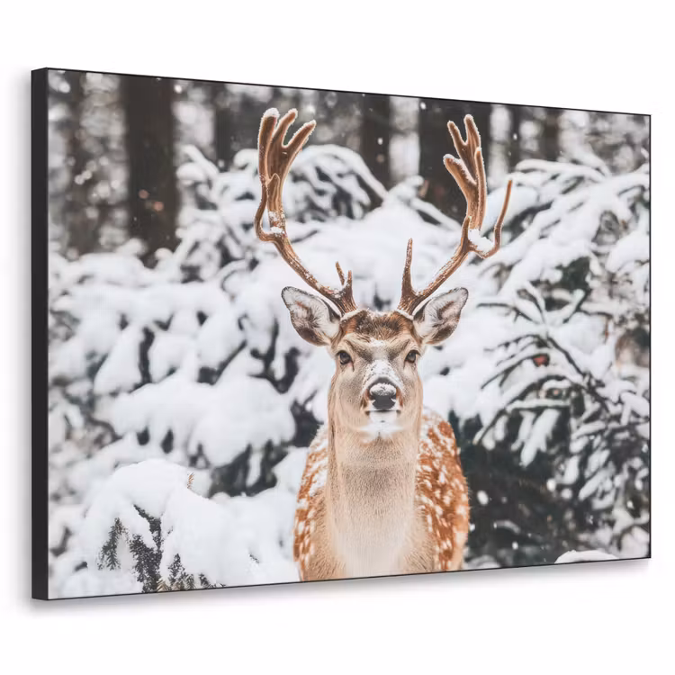 Hert - Sneeuw - Winter - Bos - Dieren Textielframe zwart klein -3d