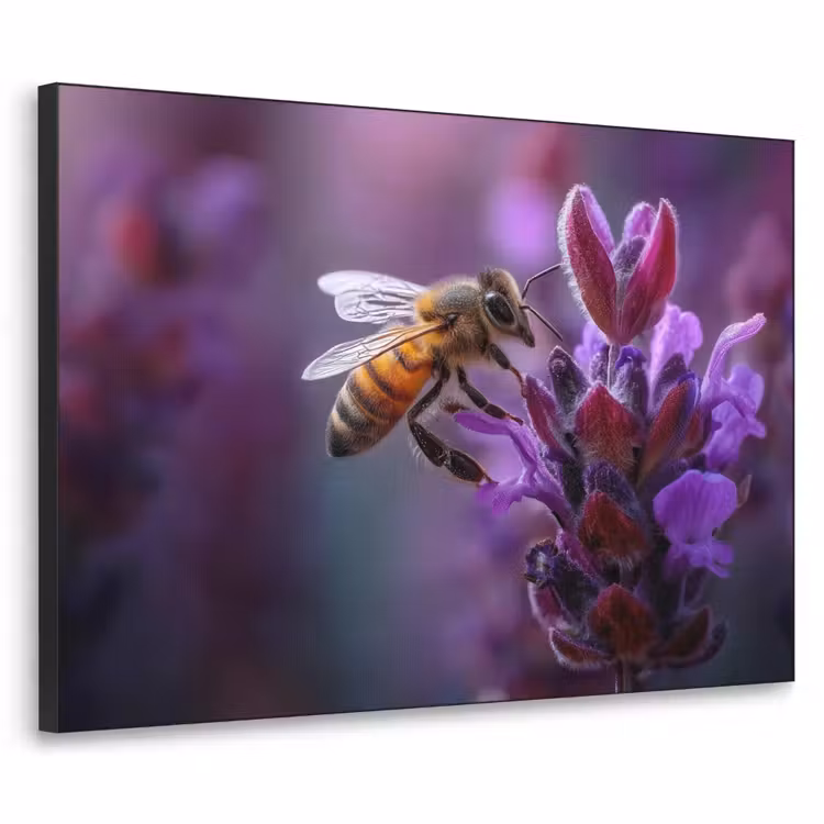 Honingbij - Paarse bloemen - Details Textielframe zwart klein -3d