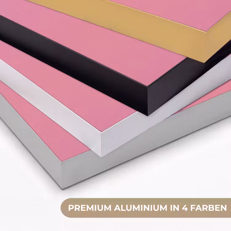 Hoorntje - Schepijs - Roze Textielframe zwart klein -USP_kleurenDE