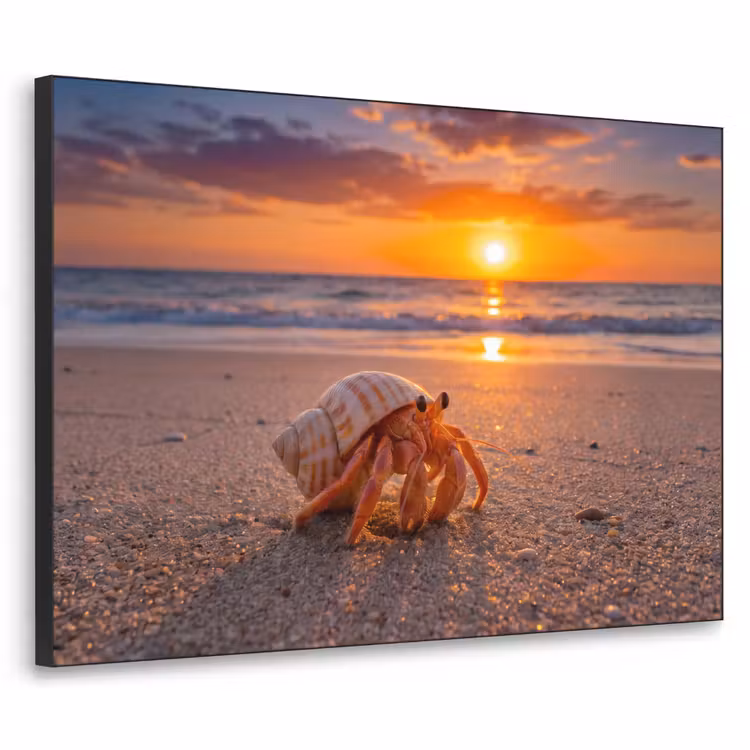 Kreeft - Strand - Natuur - Zonsondergang - Oranje Textielframe zwart klein -3d
