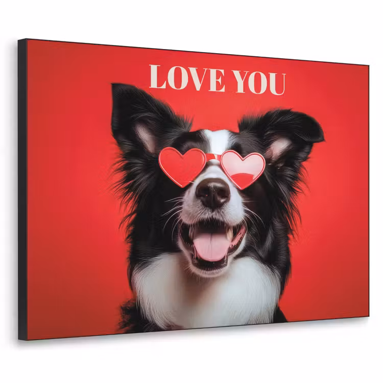 Hond - Hartjesbril - Loveyou - Rood Textielframe - compleet frame klein -3d