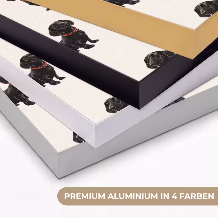 Hond - Patroon - Zwart Textielframe zwart klein 947 -USP_kleurenDE