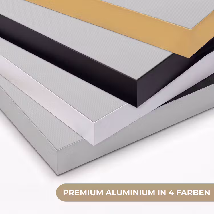 Hond - Zwart - Wijnglas - Zonnebril Textielframe zwart klein -USP_kleurenDE