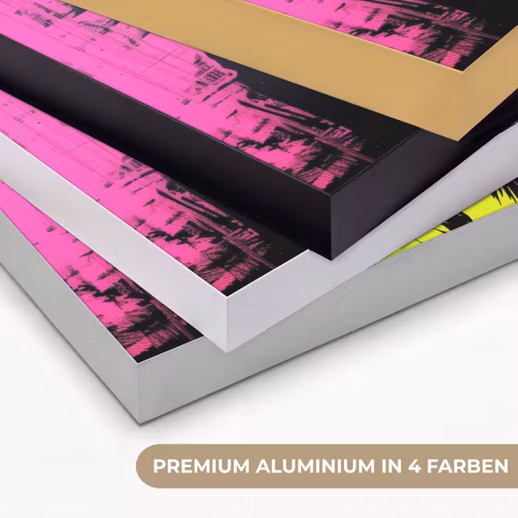 Hond - Zonnebril - Roze - Art Textielframe zwart klein -USP_kleurenDE