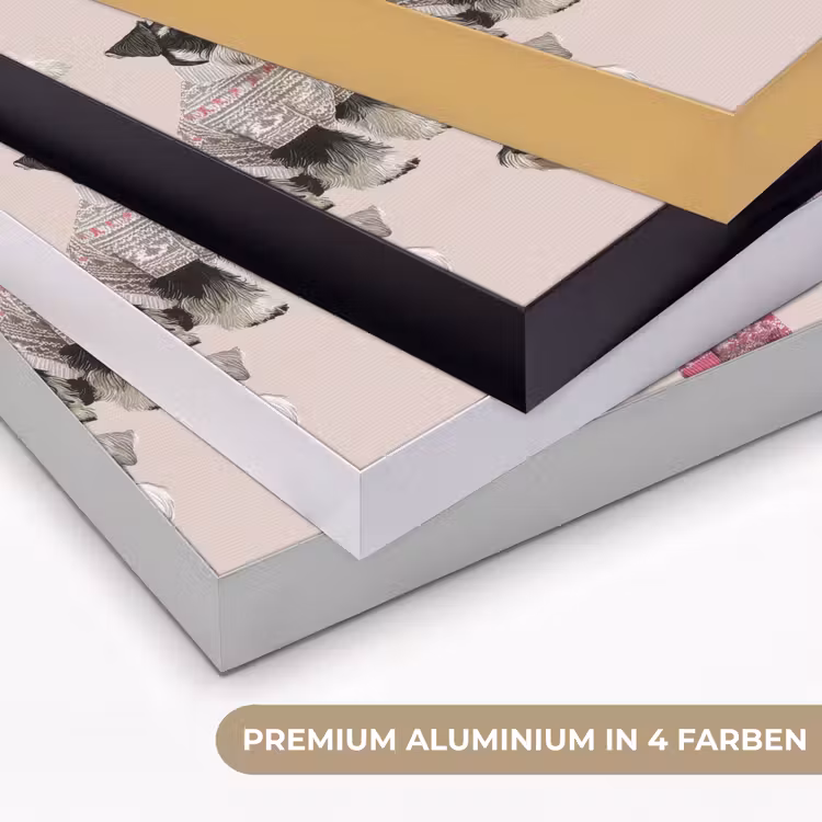 Honden - Truien - Rood Textielframe zwart klein 947 -USP_kleurenDE
