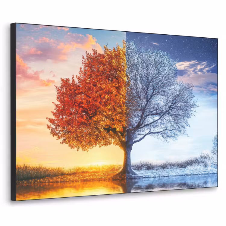 Seizoenen - Kunst - Boom - Herfst - Winter Textielframe zwart klein -3d
