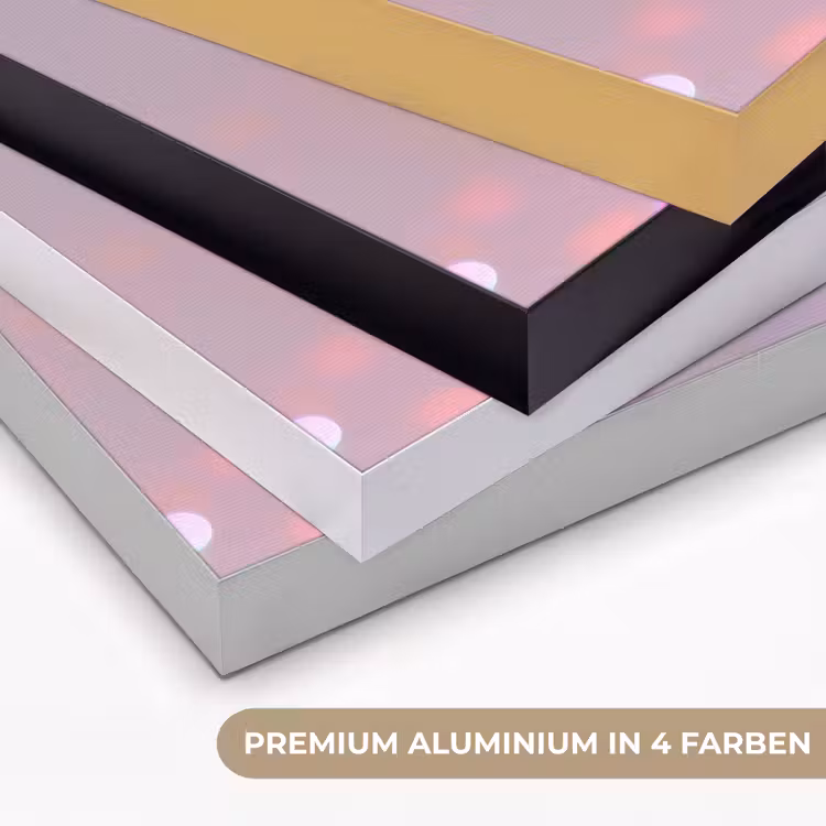 Kever - Metallic - Lichteffect - Roze Textielframe zwart klein -USP_kleurenDE