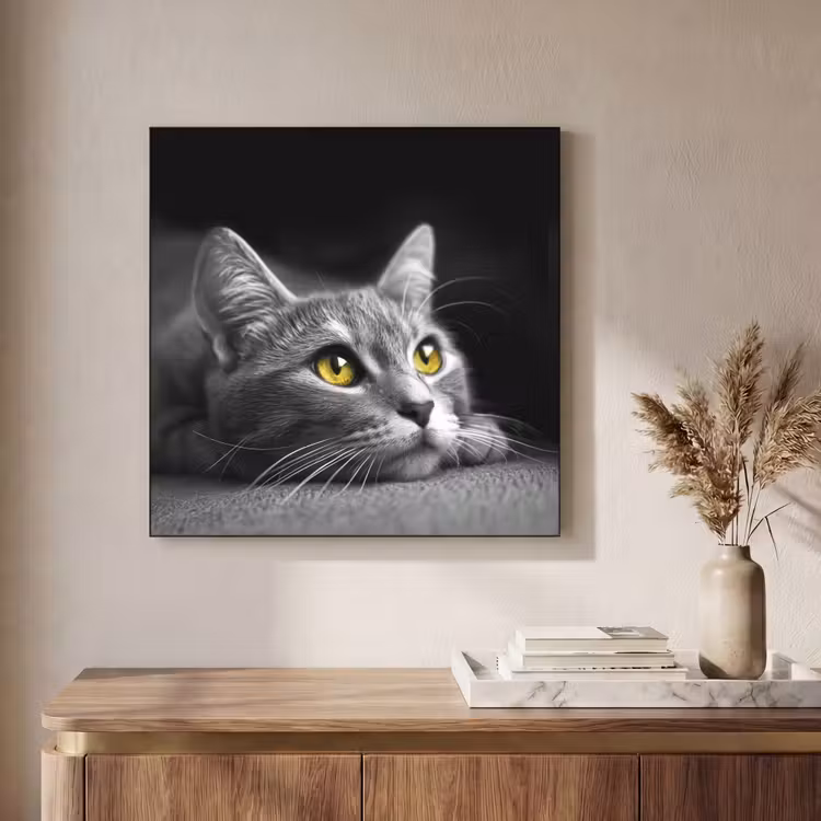 Kat - Zwart - Wit - Dieren - Natuur Textielframe zwart klein -sfeer2