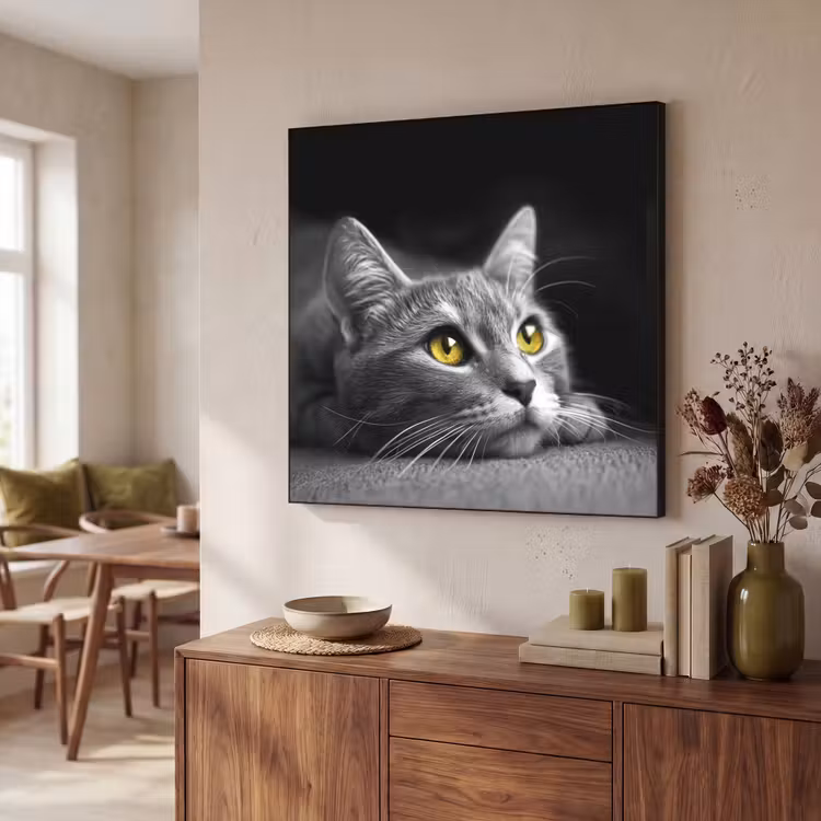 Kat - Zwart - Wit - Dieren - Natuur Textielframe zwart klein -sfeer3