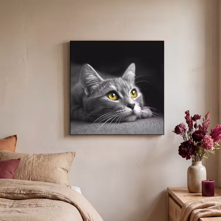 Kat - Zwart - Wit - Dieren - Natuur Textielframe zwart klein -sfeer1