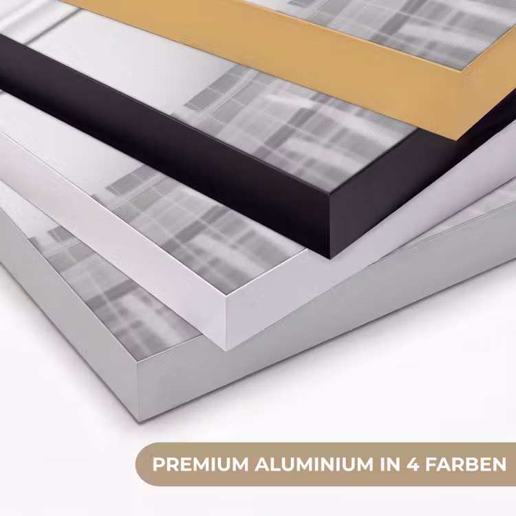 Kat - Siamees - Zwart Wit - Schattig - Dieren Textielframe zwart klein -USP_kleurenDE