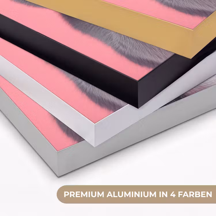 Kat - Valentijn - Roze - Liefde Textielframe zwart klein -USP_kleurenDE