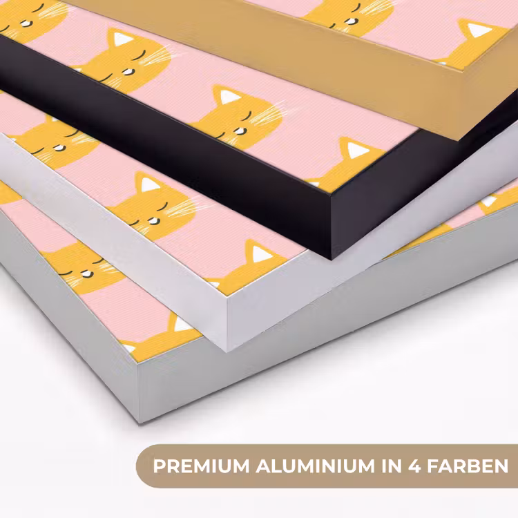 Katten - Patroon - Roze Textielframe zwart klein 947 -USP_kleurenDE