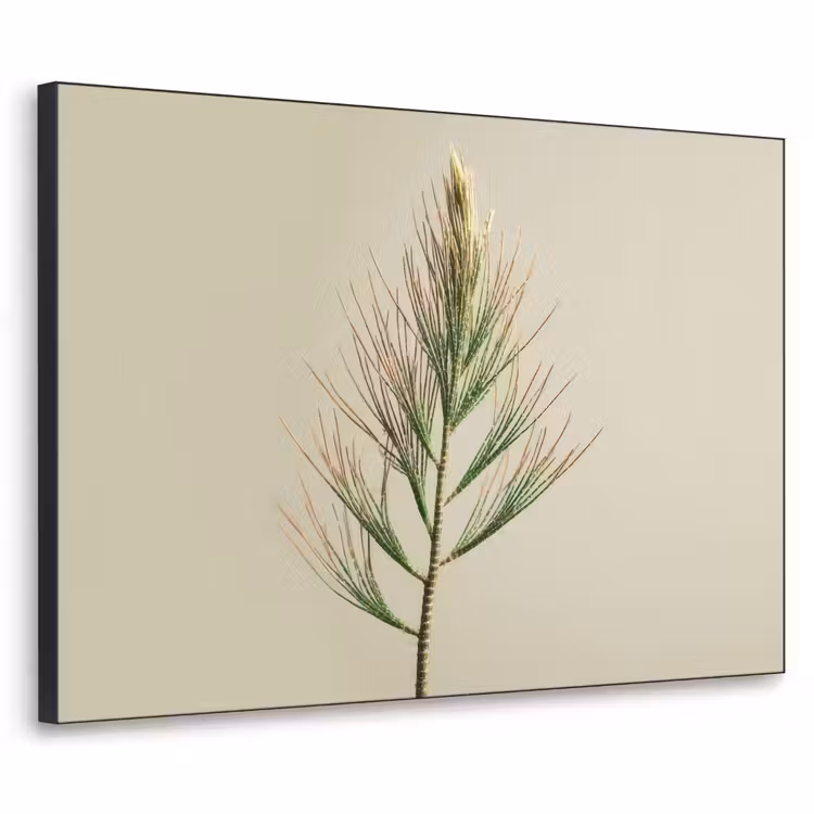 Dennentak - Naaldvormige bladeren - Lichtgroen Textielframe zwart klein -3d