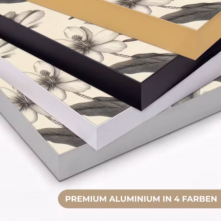 Klassiek - Botanisch - Zwart - Beige Textielframe zwart klein 947 -USP_kleurenDE