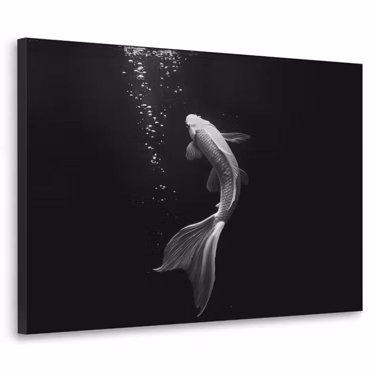 Koi - Vis - Wit - Zwart Textielframe - compleet frame klein -3d