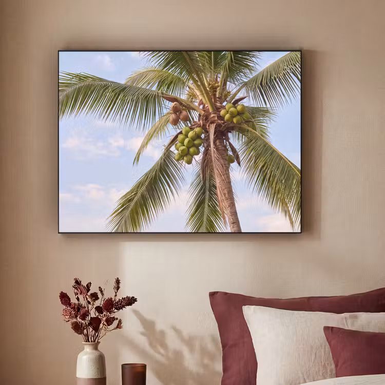Kokosnoot - Boom - Tropisch - Natuur - Groen Textielframe zwart klein -sfeer1