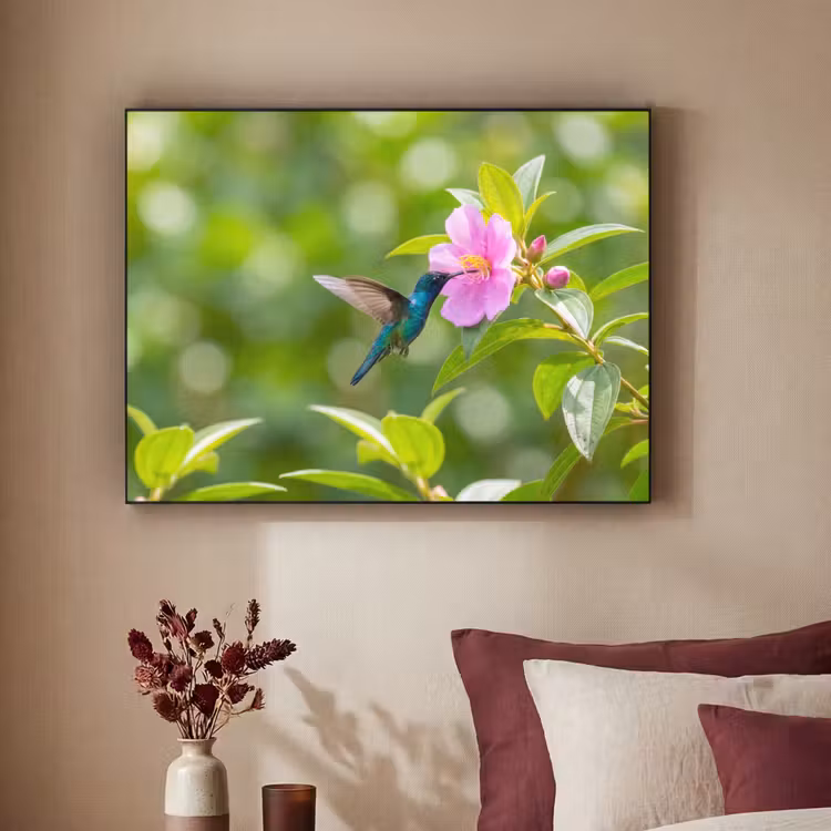 Kolibrie - Bloem - Natuur - Groen Textielframe zwart klein -sfeer1