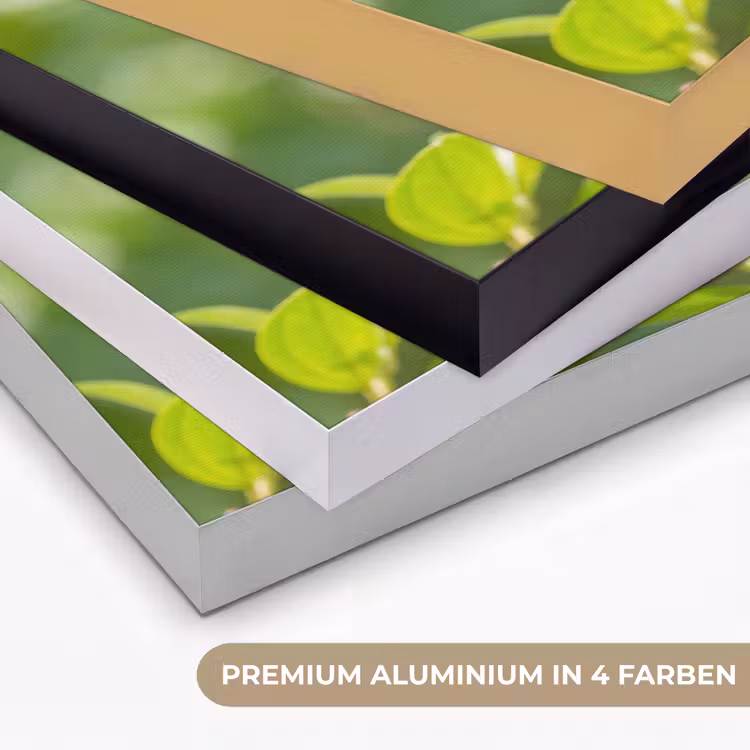 Kolibrie - Bloem - Natuur - Groen Textielframe zwart klein -USP_kleurenDE