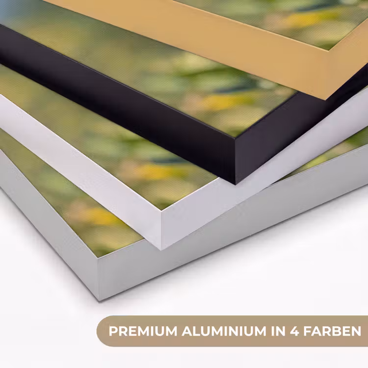 Kolibrie - Bloem - Natuur - Groen Textielframe zwart klein -USP_kleurenDE