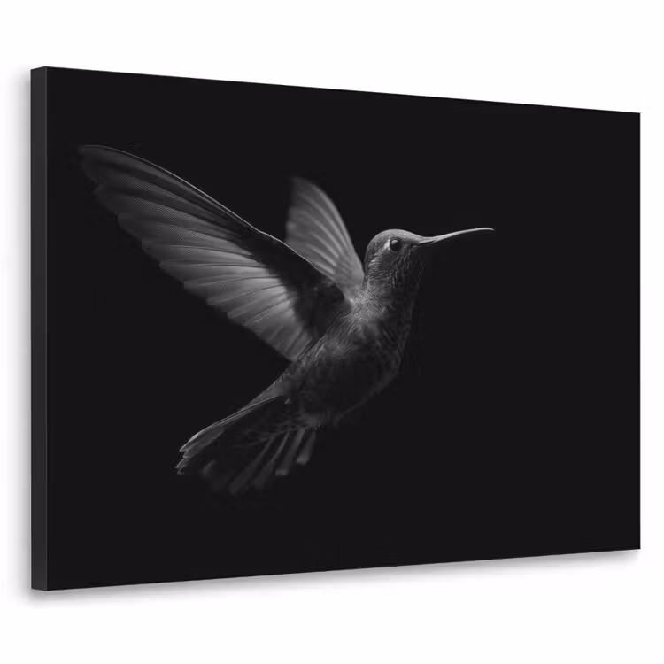 Kolibrie - Zwart - Dieren Textielframe zwart klein -3d