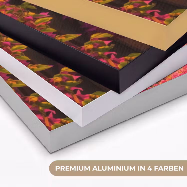 Colosseum - Rome - Roze Bloemen Textielframe zwart klein -USP_kleurenDE