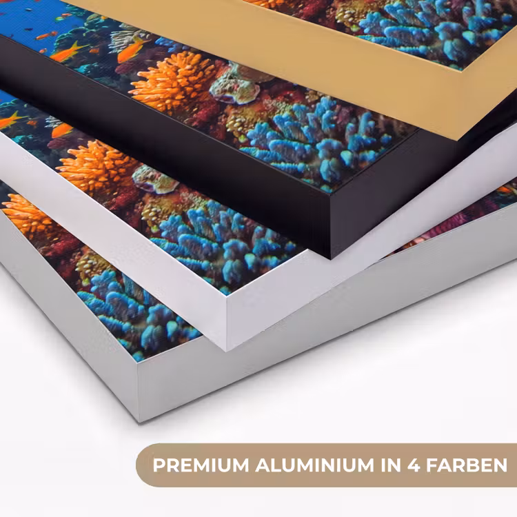 Koraal - Vissen - Oceaan - Natuur - Kleurrijk Textielframe zwart klein -USP_kleurenDE