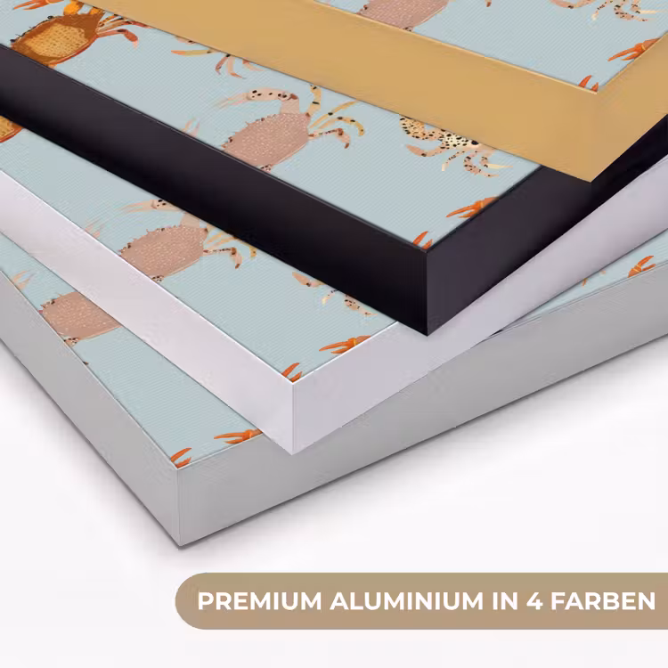 Krabben - Speels - Kleurrijk Textielframe zwart klein 947 -USP_kleurenDE