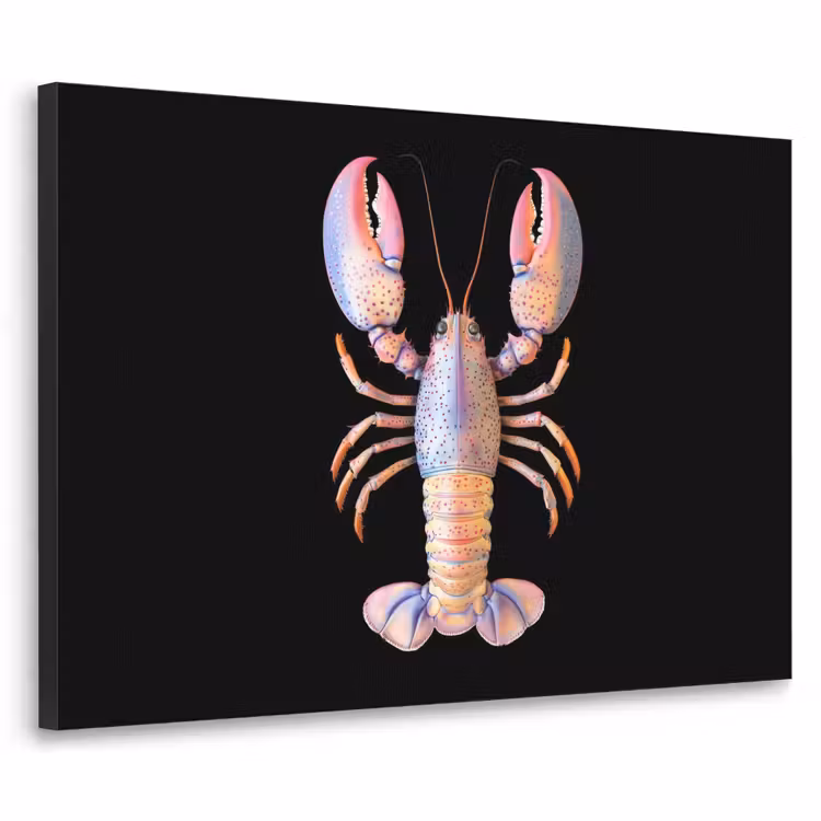 Kreeft - Roze - Zacht - Zwart Textielframe zwart klein -3d