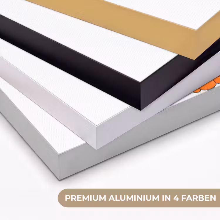 Kreeft - Zwart - Oranje - Wit - Uniek Textielframe zwart klein -USP_kleurenDE